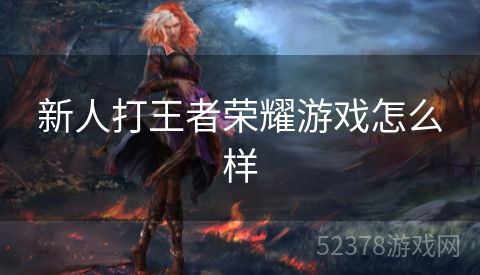 新人打王者荣耀游戏怎么样