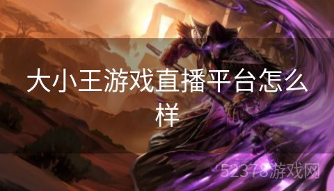 大小王游戏直播平台怎么样