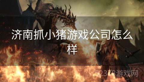 济南抓小猪游戏公司怎么样