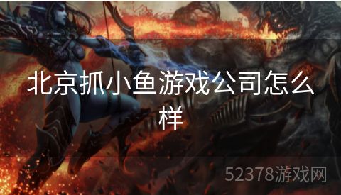 北京抓小鱼游戏公司怎么样