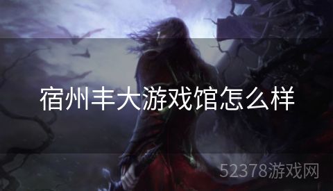 宿州丰大游戏馆怎么样