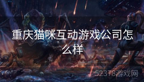 重庆猫咪互动游戏公司怎么样