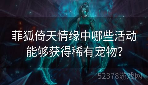 菲狐倚天情缘中哪些活动能够获得稀有宠物？