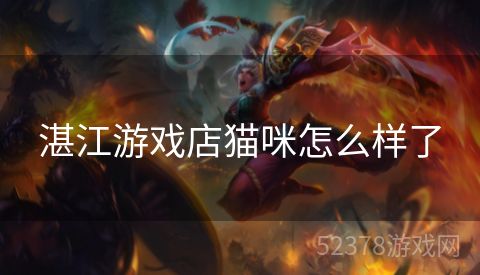 湛江游戏店猫咪怎么样了