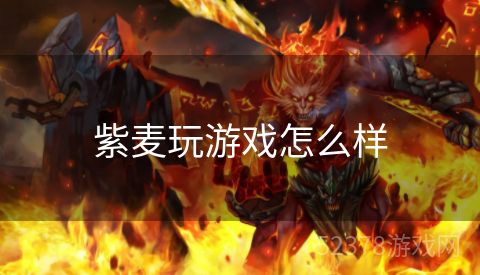 紫麦玩游戏怎么样