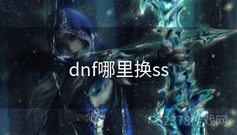 dnf哪里换ss