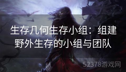 生存几何生存小组：组建野外生存的小组与团队
