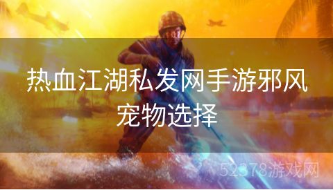 热血江湖私发网手游邪风宠物选择