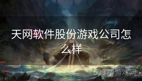 天网软件股份游戏公司怎么样