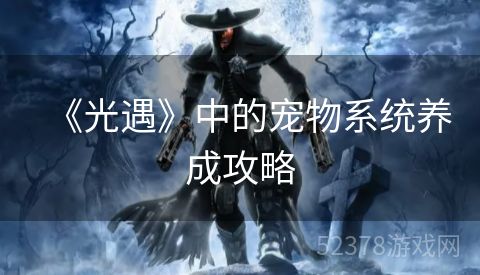 《光遇》中的宠物系统养成攻略