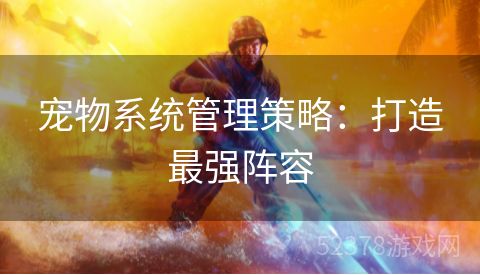 宠物系统管理策略：打造最强阵容