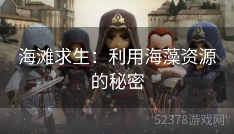 海滩求生：利用海藻资源的秘密