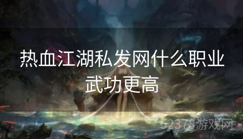 热血江湖私发网什么职业武功更高
