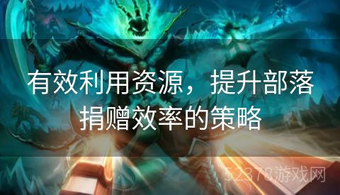 有效利用资源，提升部落捐赠效率的策略
