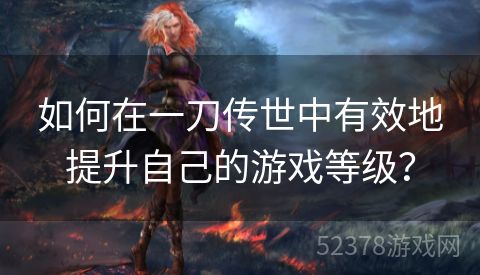 如何在一刀传世中有效地提升自己的游戏等级？