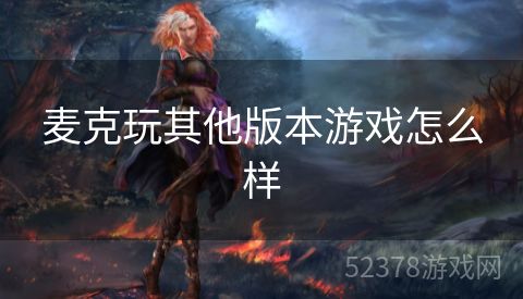 麦克玩其他版本游戏怎么样