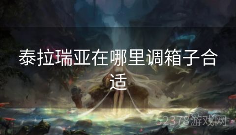 泰拉瑞亚在哪里调箱子合适
