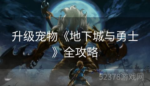 升级宠物《地下城与勇士》全攻略