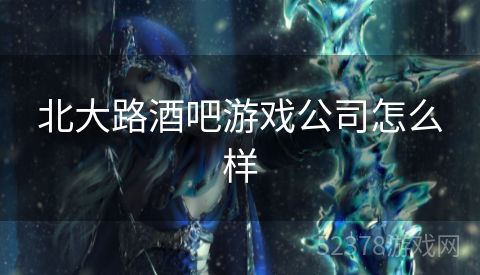 北大路酒吧游戏公司怎么样