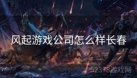 风起游戏公司怎么样长春