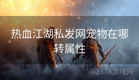 热血江湖私发网宠物在哪转属性