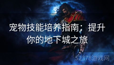宠物技能培养指南：提升你的地下城之旅