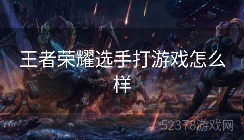 王者荣耀选手打游戏怎么样