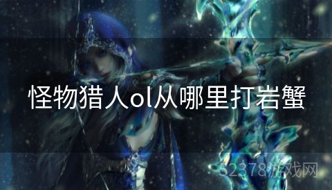 怪物猎人ol从哪里打岩蟹