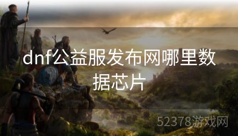 dnf公益服发布网哪里数据芯片