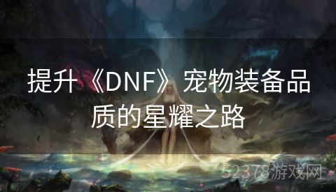 提升《DNF》宠物装备品质的星耀之路