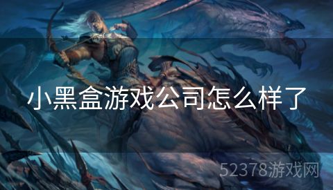 小黑盒游戏公司怎么样了