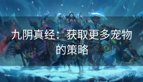 九阴真经：获取更多宠物的策略
