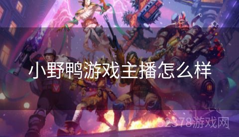 小野鸭游戏主播怎么样