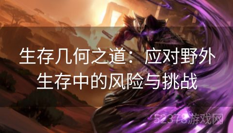 生存几何之道：应对野外生存中的风险与挑战