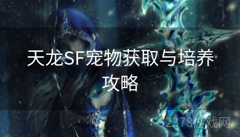 天龙SF宠物获取与培养攻略