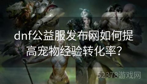 dnf公益服发布网如何提高宠物经验转化率？