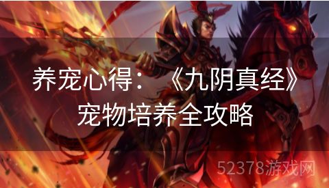 养宠心得：《九阴真经》宠物培养全攻略