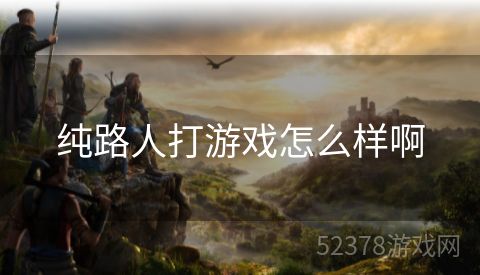 纯路人打游戏怎么样啊
