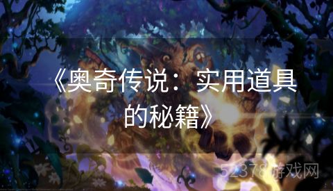  《奥奇传说：实用道具的秘籍》