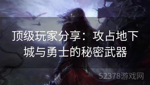 顶级玩家分享：攻占地下城与勇士的秘密武器