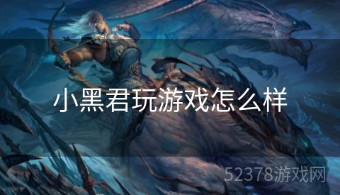 小黑君玩游戏怎么样