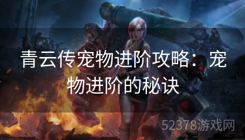 青云传宠物进阶攻略：宠物进阶的秘诀