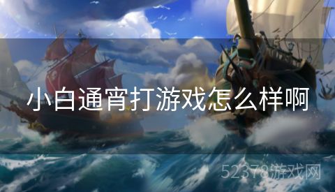 小白通宵打游戏怎么样啊