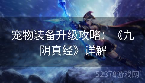 宠物装备升级攻略：《九阴真经》详解